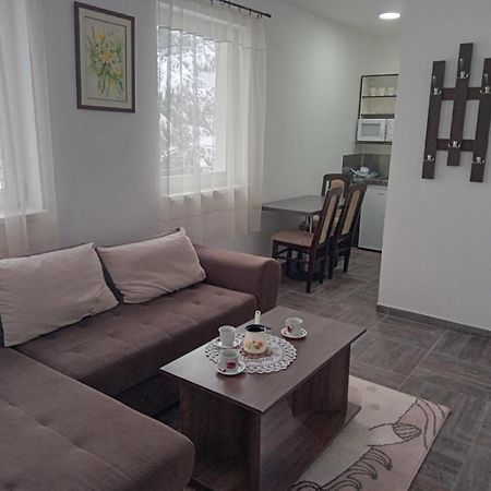 Vila Mozart - Apartments & Studios Kopaonik Luaran gambar